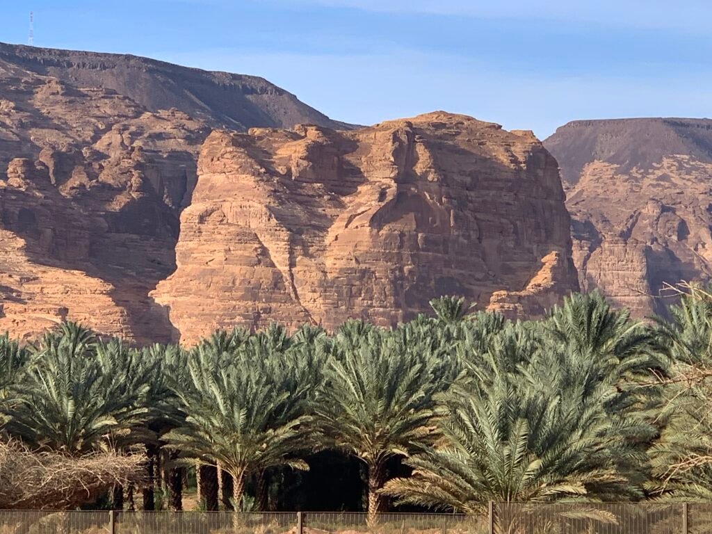 The Oasis at Al Ula is the second largest in Saudi Arabia. There is a temple ruin at the top of the rock and there were steps leading up at some point in time.